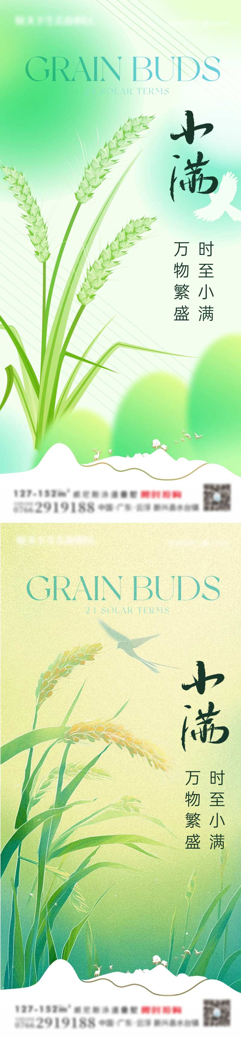 小满芒种节气稻穗麦-采灵感-cailinggan.com