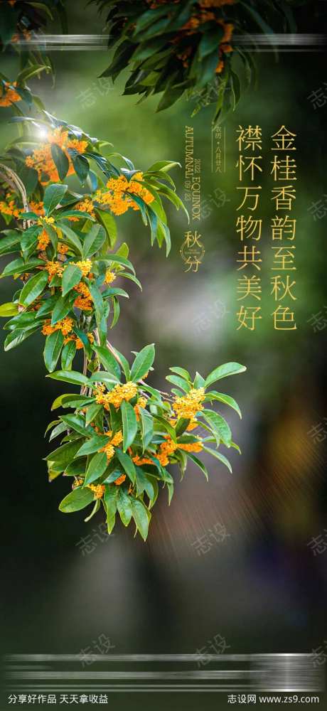 地产立秋秋分桂花海报-采灵感-https://www.cailinggan.com/