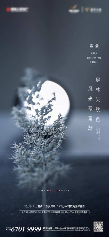 寒露节气海报-采灵感-https://www.cailinggan.com/