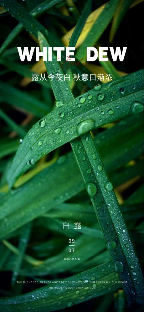 白露雨水寒露霜降小寒大寒-采灵感-https://www.cailinggan.com/