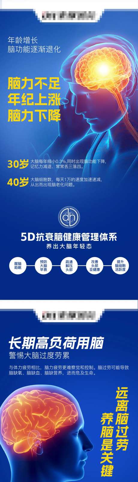 大脑问题脑健康抗衰 -采灵感-https://www.cailinggan.com/