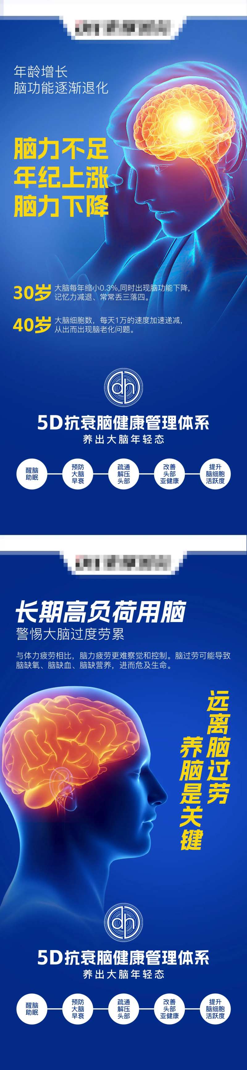 大脑问题脑健康抗衰 -采灵感-cailinggan.com