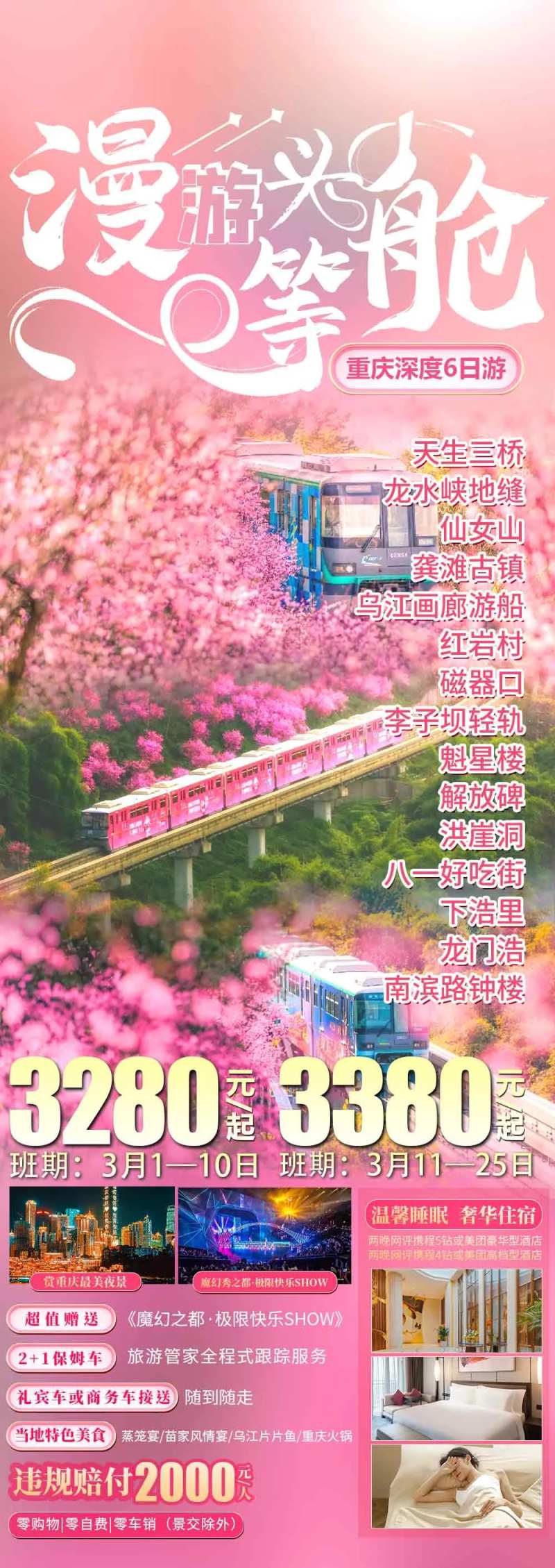 漫游头等舱重庆樱花长图海报-采灵感-cailinggan.com