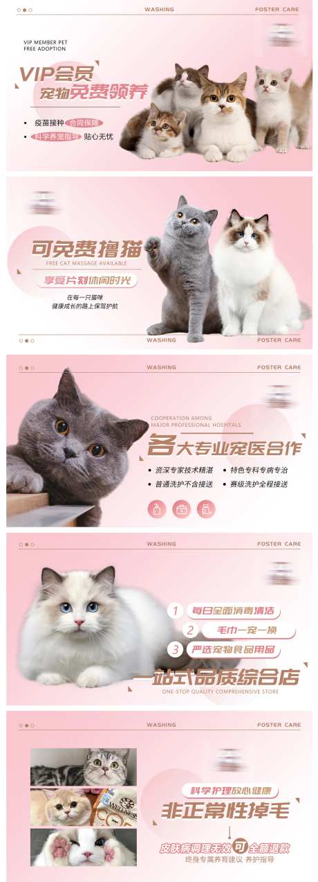 宠物猫咪大众点评轮播图banner-采灵感-https://www.cailinggan.com/