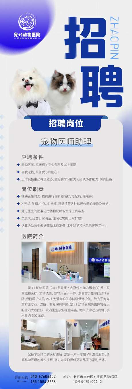 宠物医院招聘海报-采灵感-https://www.cailinggan.com/