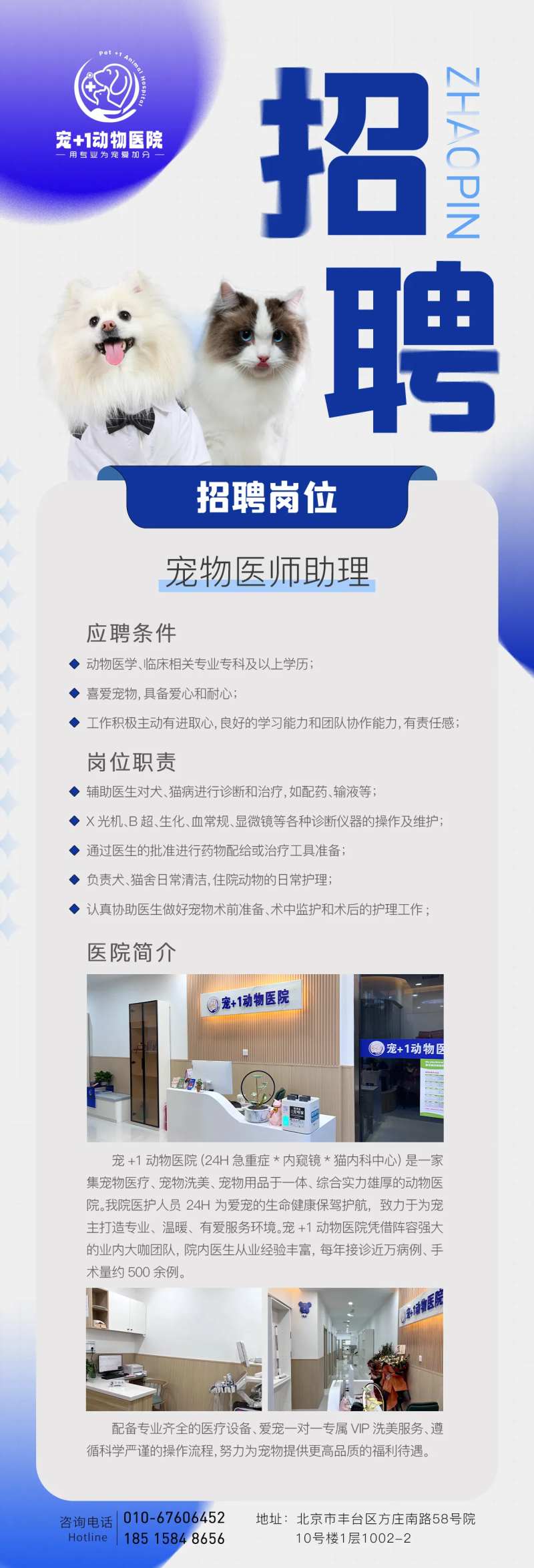 宠物医院招聘海报-采灵感-cailinggan.com