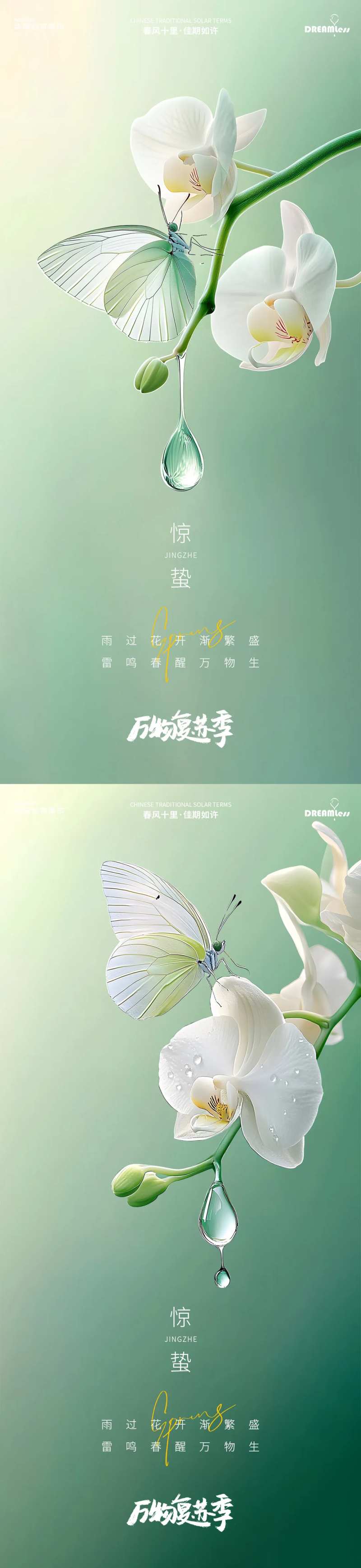 惊蛰蝴蝶兰昆虫摄影简约质感海报-采灵感-cailinggan.com