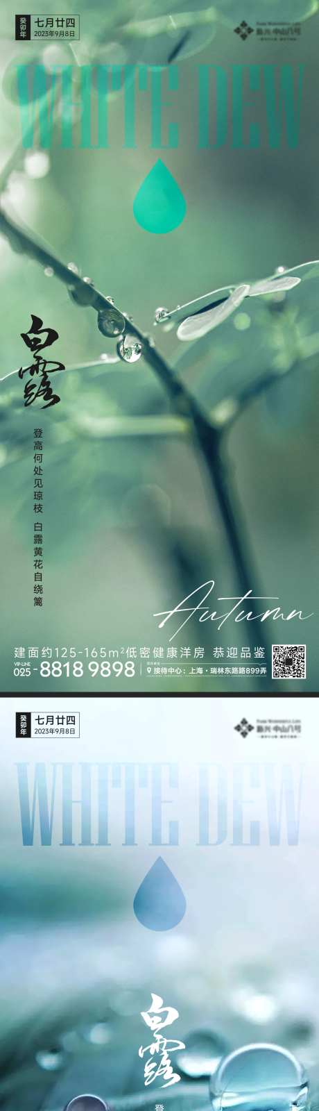 白露节气系列海报-采灵感-cailinggan.com