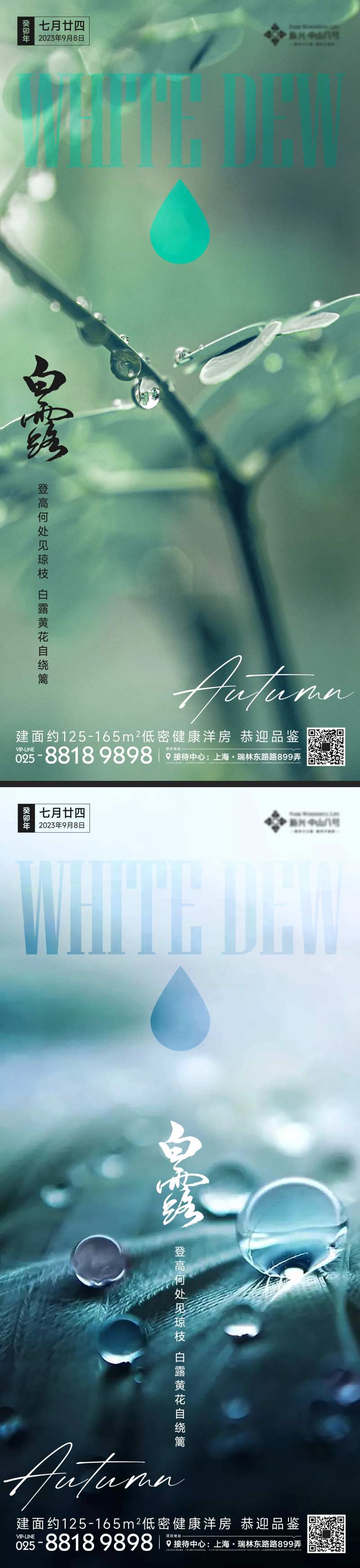 白露节气系列海报-采灵感-cailinggan.com