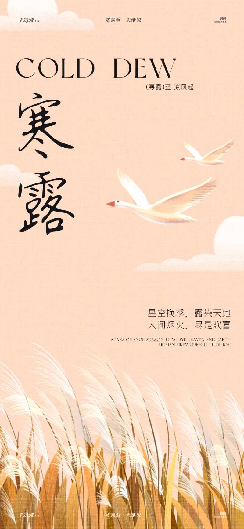 寒露芦苇大雁海报-采灵感-cailinggan.com