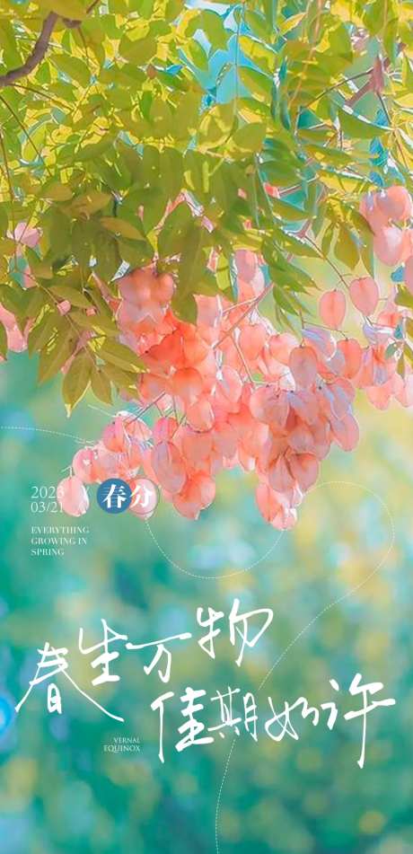 夏至春分节气花朵海报-采灵感-https://www.cailinggan.com/