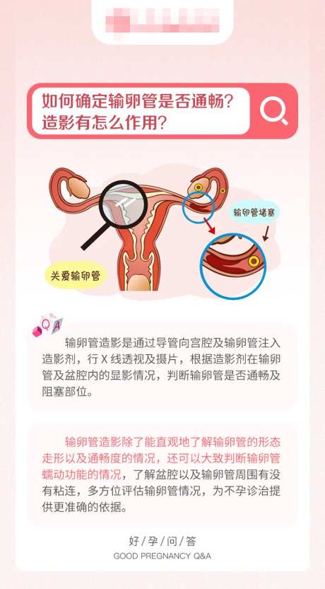 备孕科普海报-采灵感-https://www.cailinggan.com/
