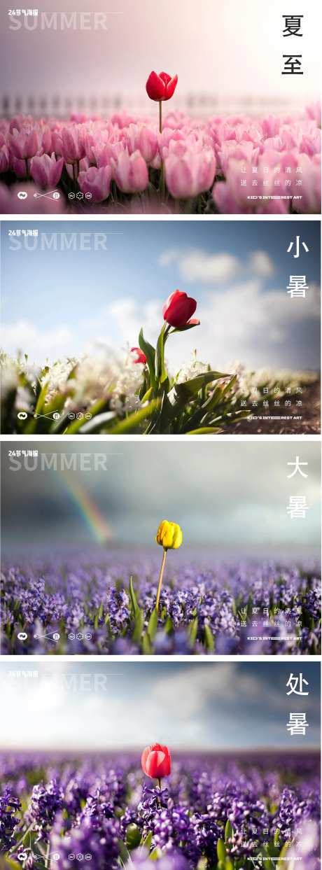 夏季24节气玫瑰花月季海报-采灵感-https://www.cailinggan.com/