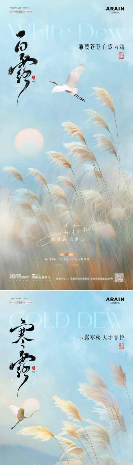 地产白露寒露芦苇草风景系列海报-采灵感-https://www.cailinggan.com/