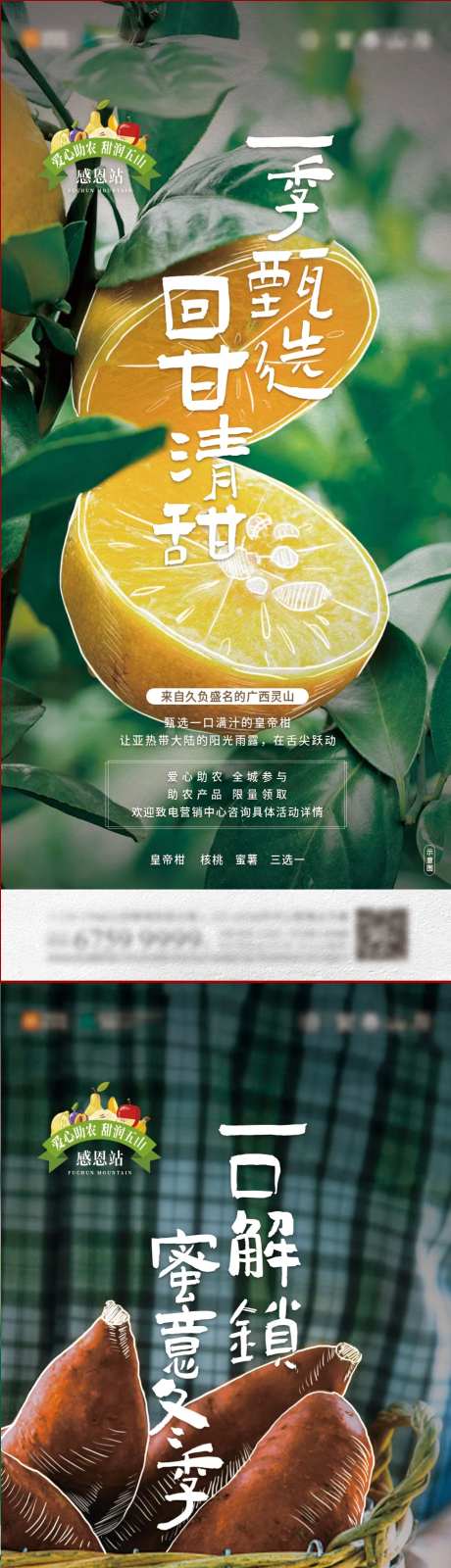 蔬果助农公益活动系列海报-采灵感-https://www.cailinggan.com/