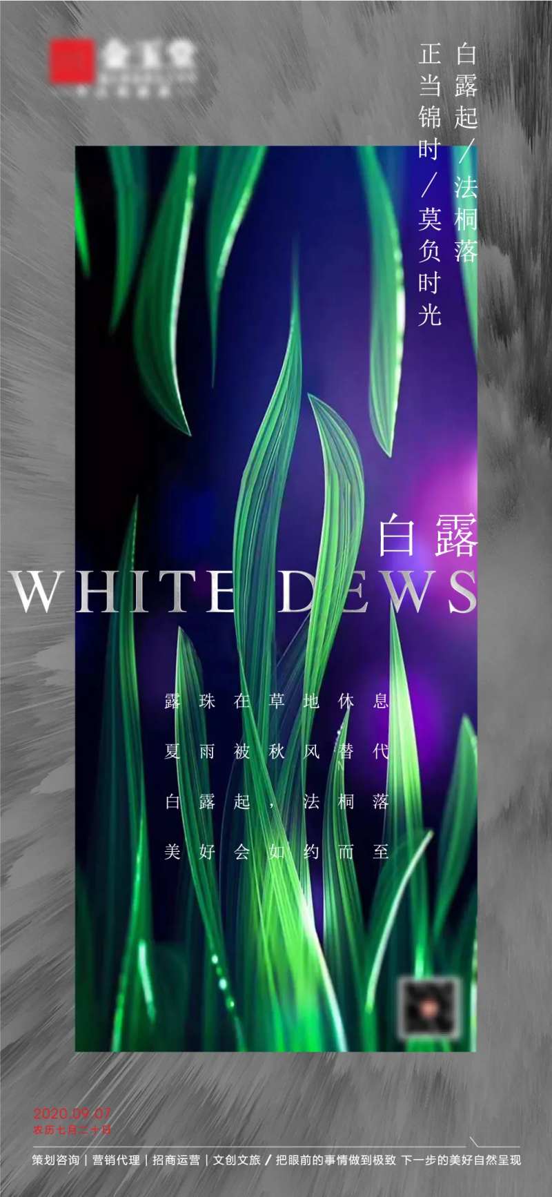 白鹭海报-采灵感-cailinggan.com