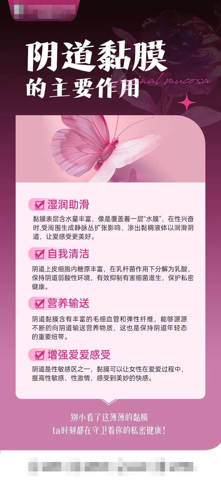 阴道黏膜的主要作用-采灵感-cailinggan.com