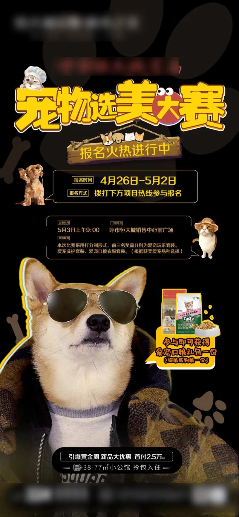 宠物选美大赛活动海报-采灵感-cailinggan.com