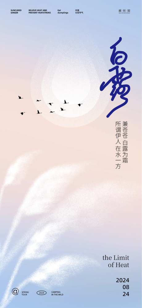 白露芦苇水滴插画海报-采灵感-https://www.cailinggan.com/