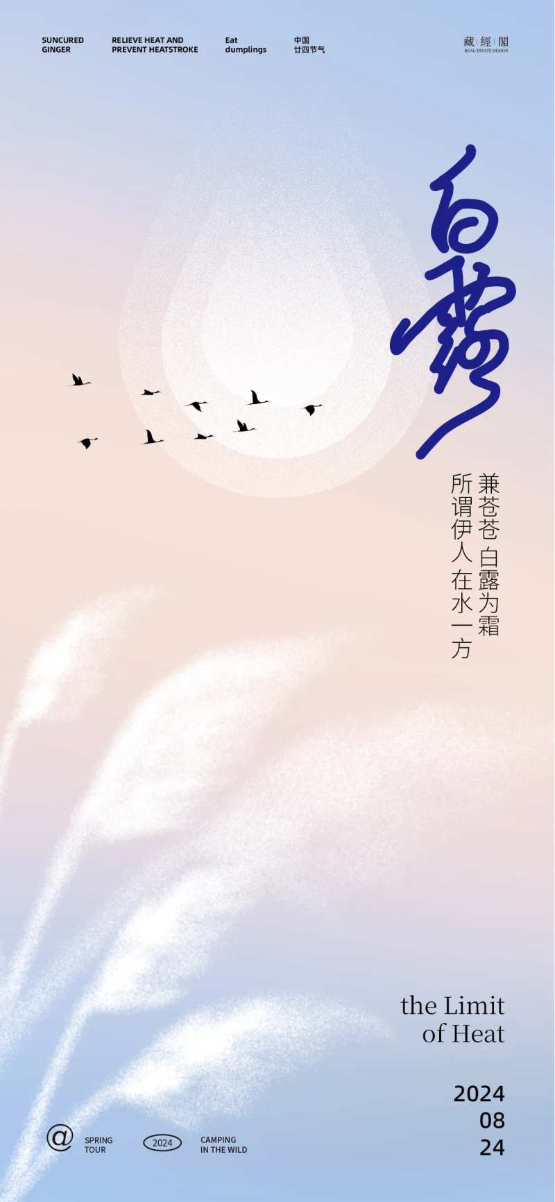 白露芦苇水滴插画海报-采灵感-cailinggan.com