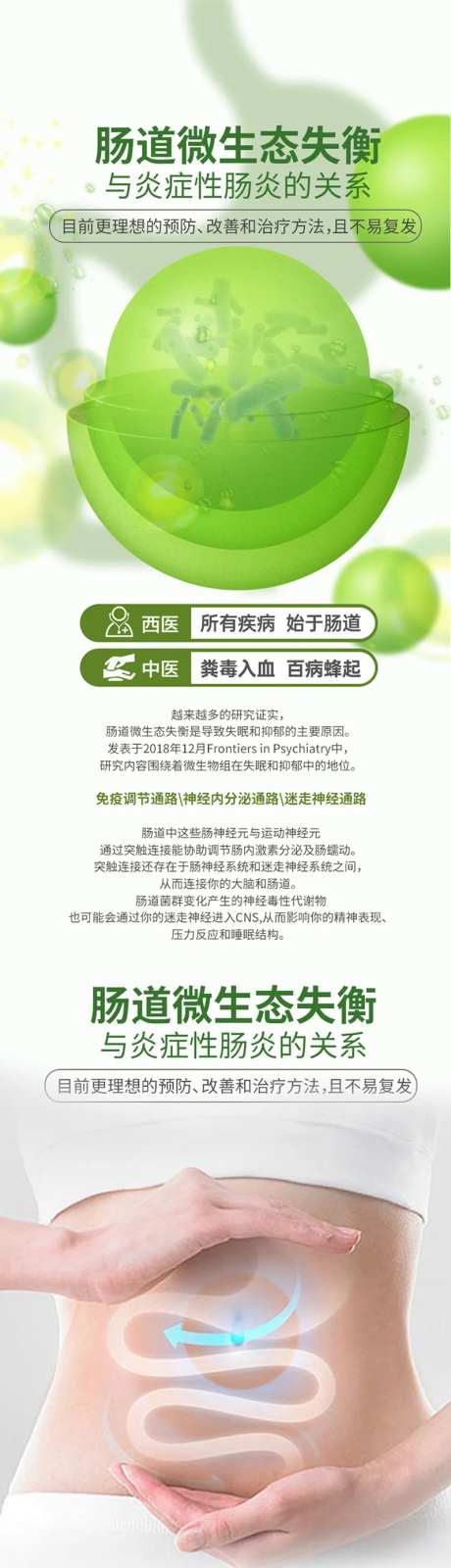 大健康肠道菌群知识分享海报长图-采灵感-https://www.cailinggan.com/