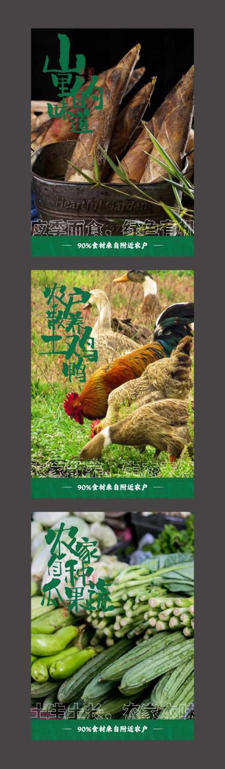 农家散养土鸡海报-采灵感-https://www.cailinggan.com/