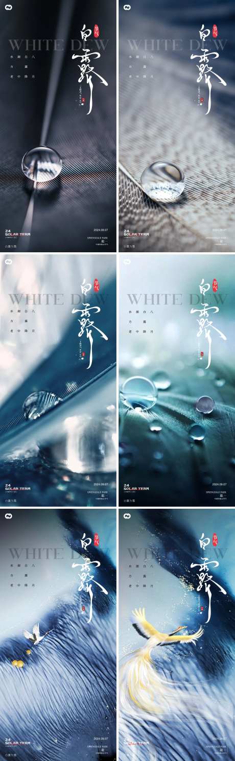 白露地产24节气露珠海报-采灵感-https://www.cailinggan.com/