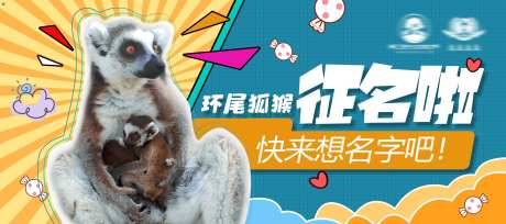 猴子征名活动展板-采灵感-https://www.cailinggan.com/