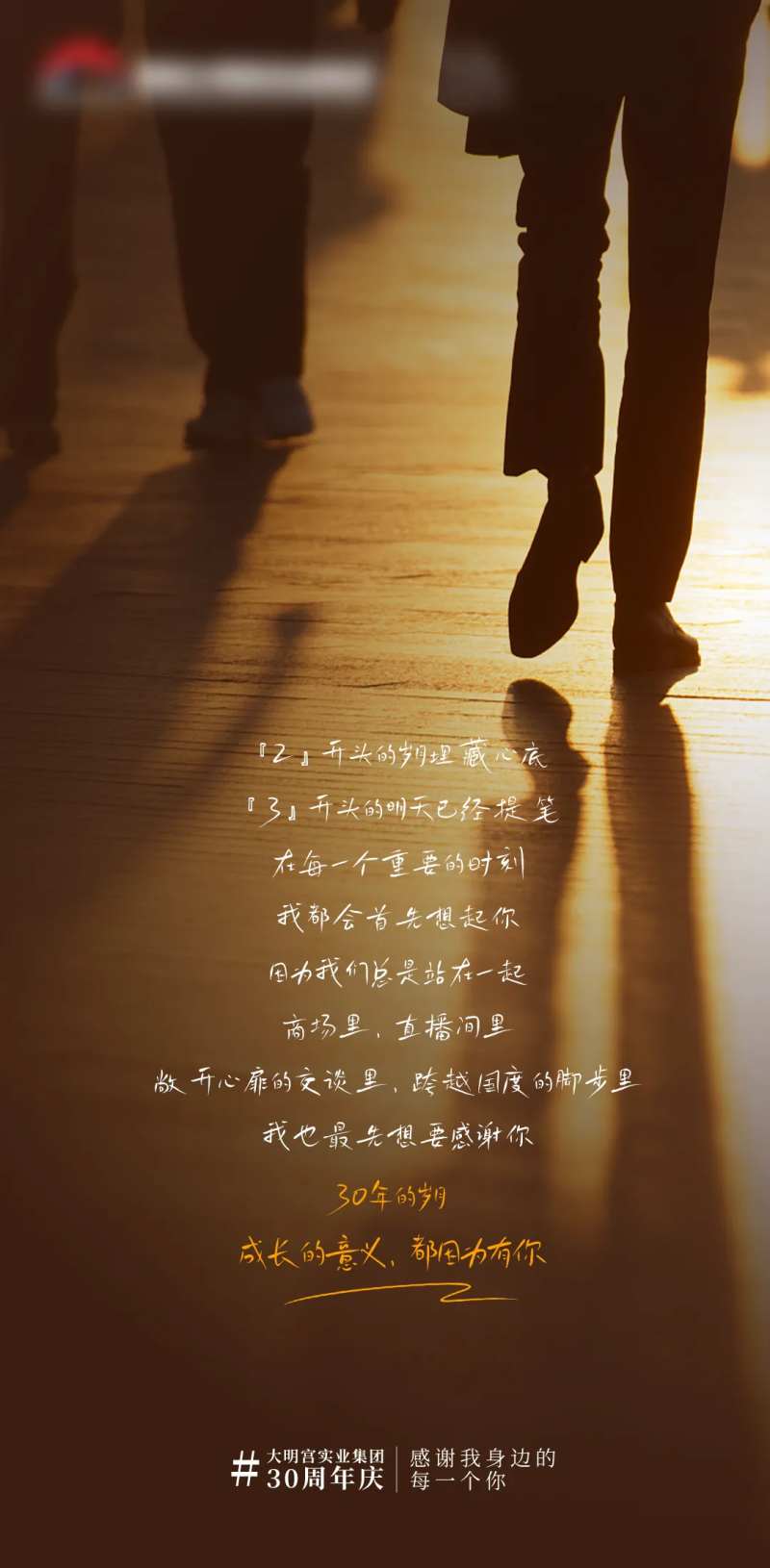 家居卖场周年庆品宣海报-采灵感-cailinggan.com