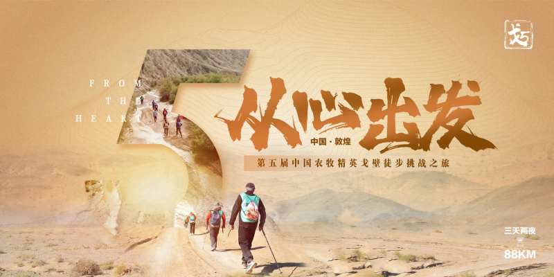 徒步健步行荒漠大气主视觉-采灵感-cailinggan.com