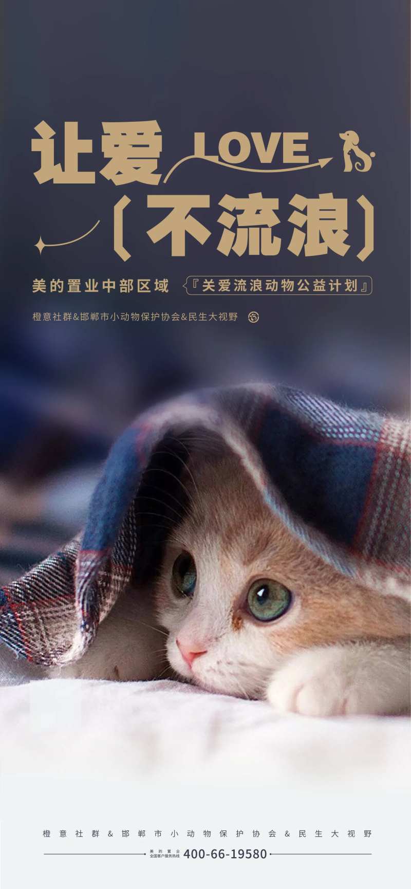 保护动物动物救助公益海报-采灵感-cailinggan.com