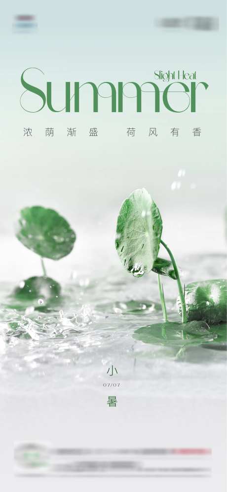 小暑荷花海报-采灵感-https://www.cailinggan.com/