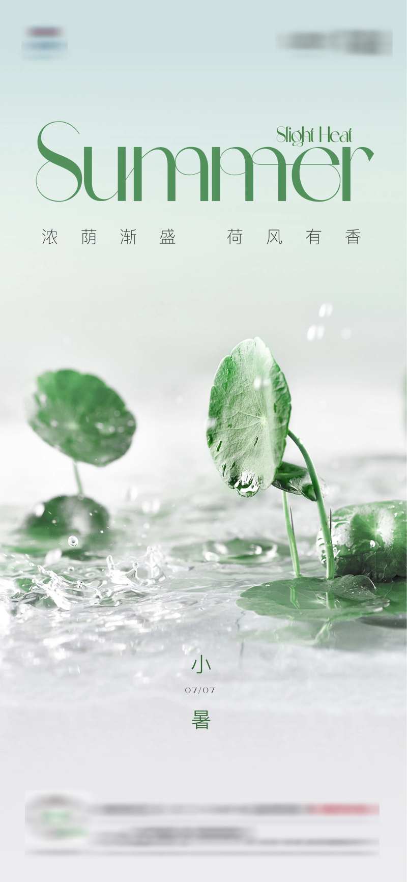 小暑荷花海报-采灵感-cailinggan.com
