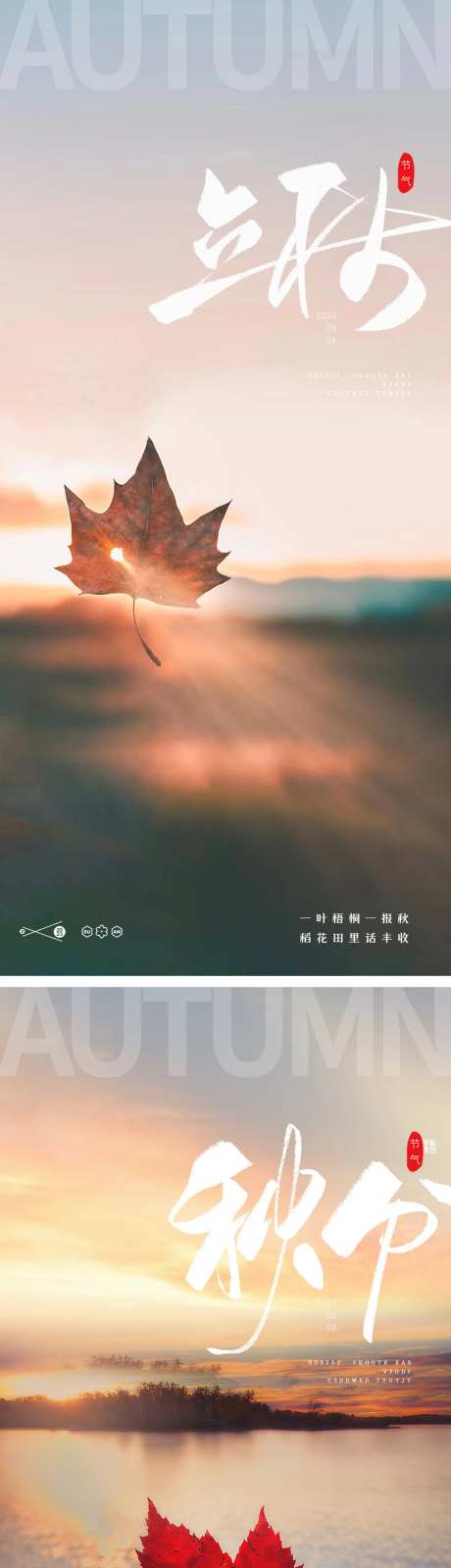 立秋秋分24节气梧桐叶海报-采灵感-https://www.cailinggan.com/