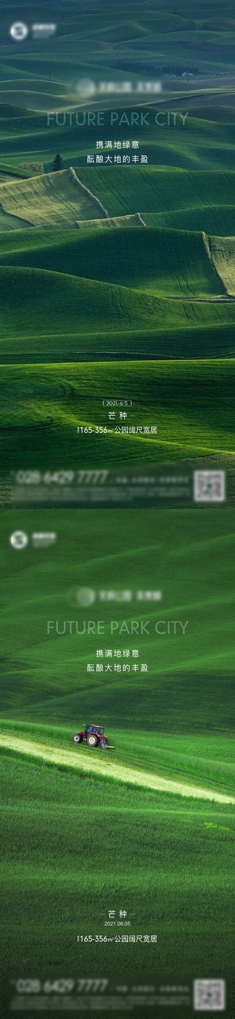 芒种海报-采灵感-cailinggan.com