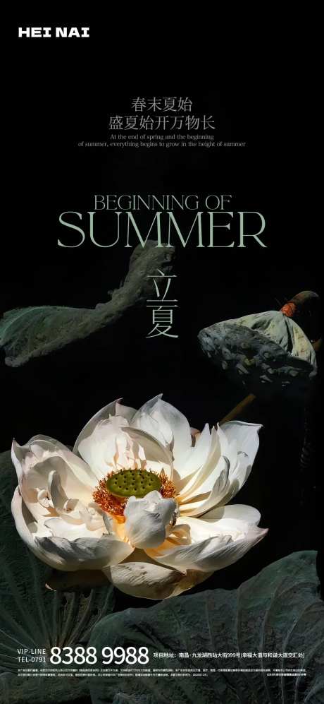 二十四节气立夏荷花意境海报-采灵感-https://www.cailinggan.com/