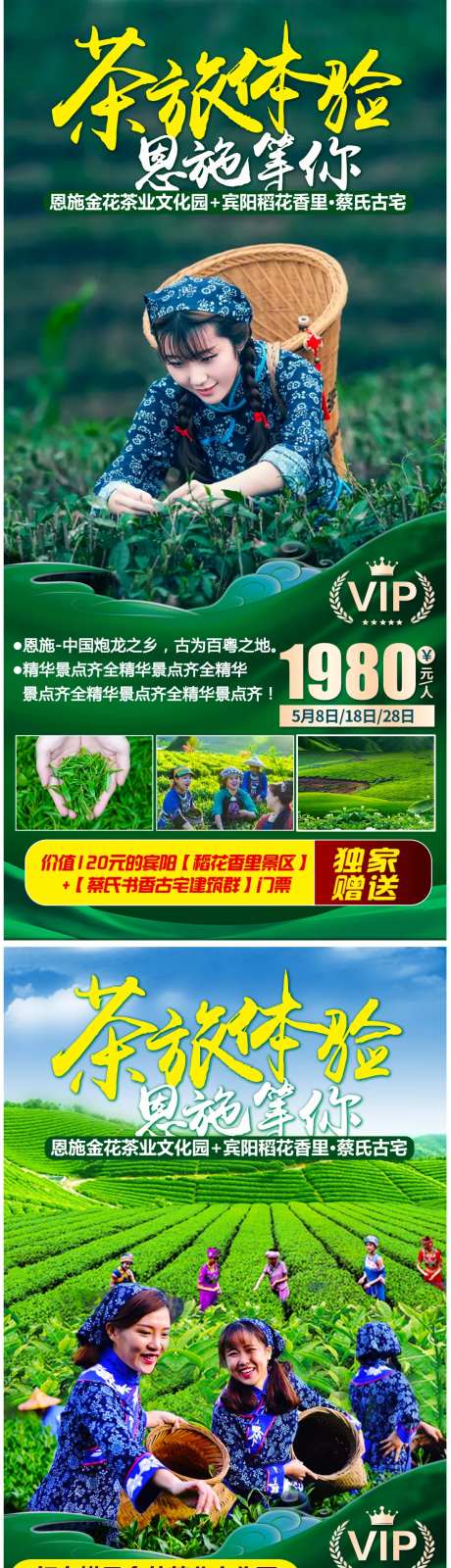 恩施采摘之旅系列海报-采灵感-https://www.cailinggan.com/