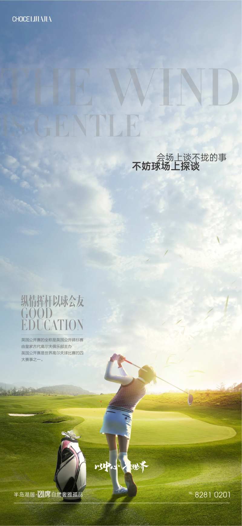 高尔夫价值点海报-采灵感-cailinggan.com