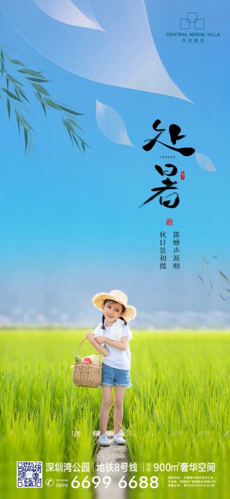 处暑二十四节气海报-采灵感-cailinggan.com
