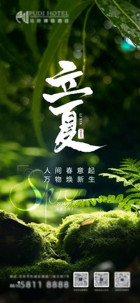 立夏节气海报-采灵感-https://www.cailinggan.com/