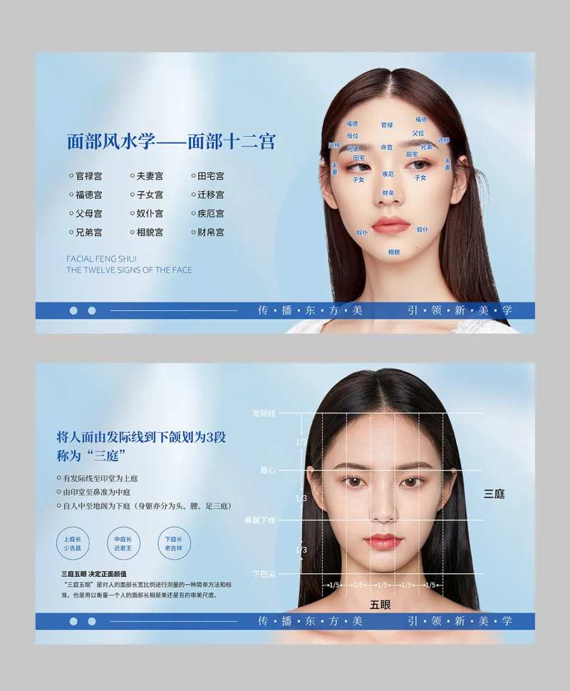 面部宫位海报-采灵感-cailinggan.com