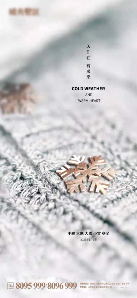 小寒大寒大雪小雪冬至立冬海报-采灵感-https://www.cailinggan.com/