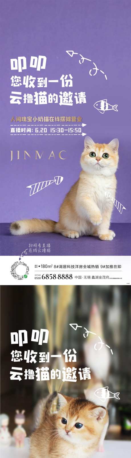猫直播简约系列海报-采灵感-https://www.cailinggan.com/
