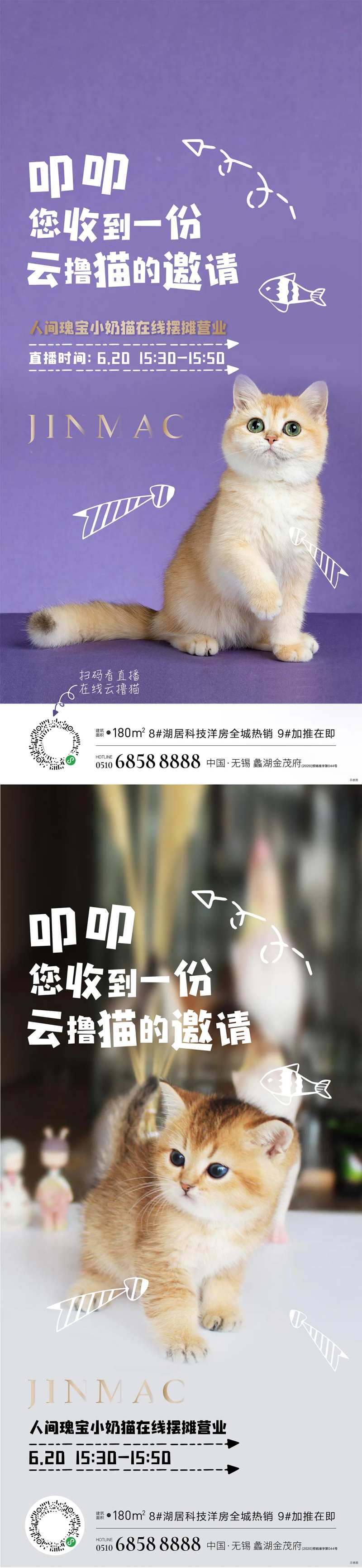 猫直播简约系列海报-采灵感-cailinggan.com