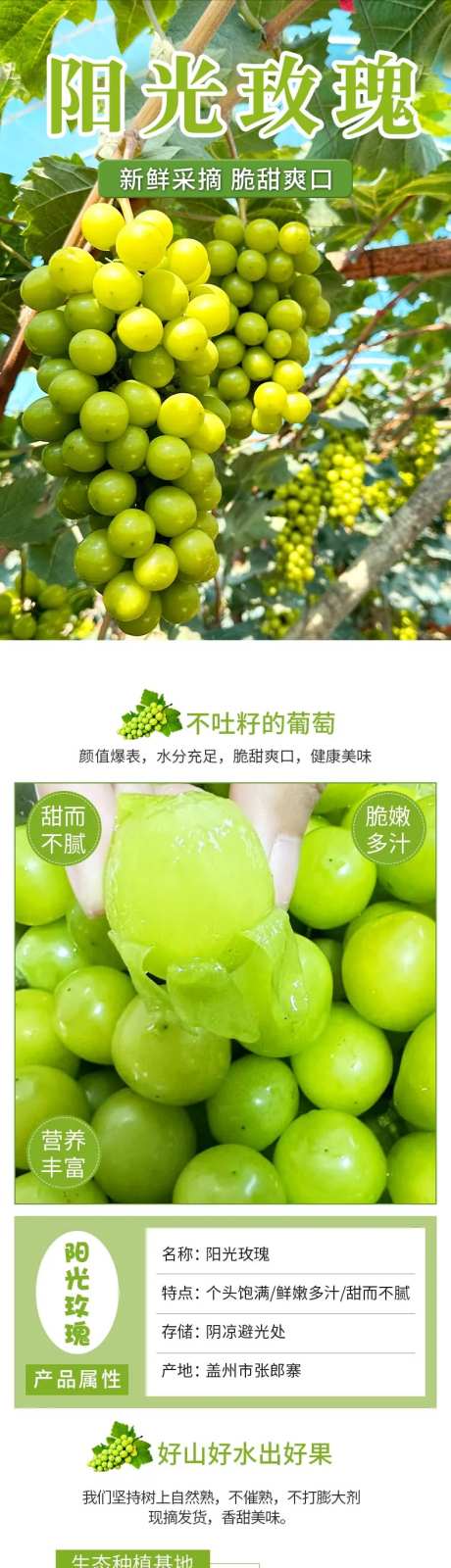 阳光玫瑰电商详情页psd-采灵感-https://www.cailinggan.com/