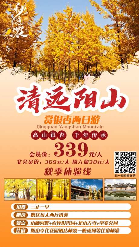 清远阳山赏银杏两日游旅行海报-采灵感-https://www.cailinggan.com/
