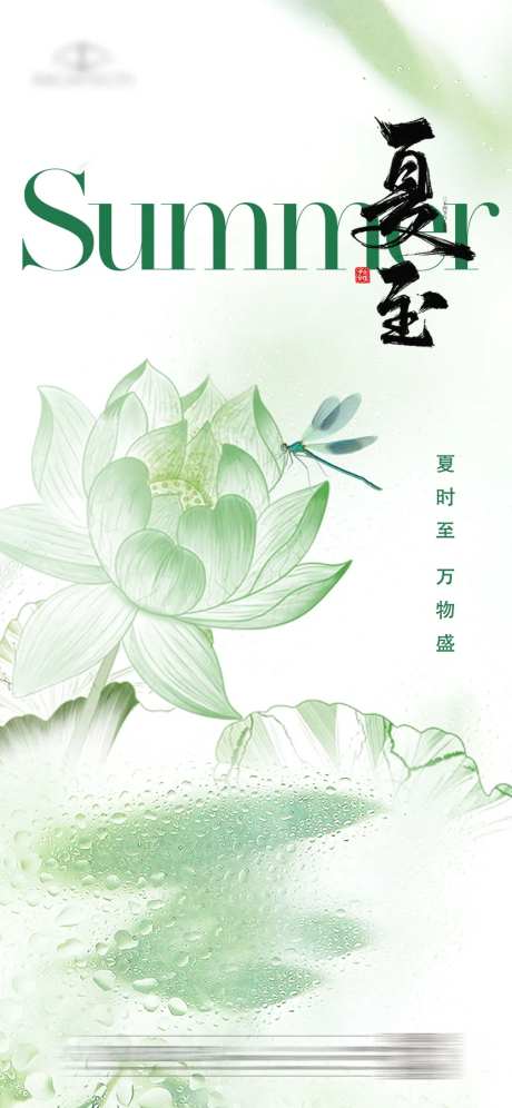 夏至节气海报-采灵感-cailinggan.com