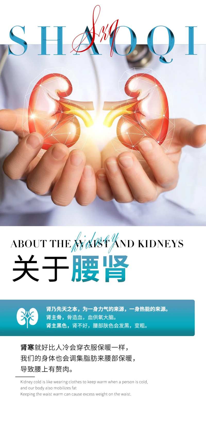 腰肾海报-采灵感-cailinggan.com