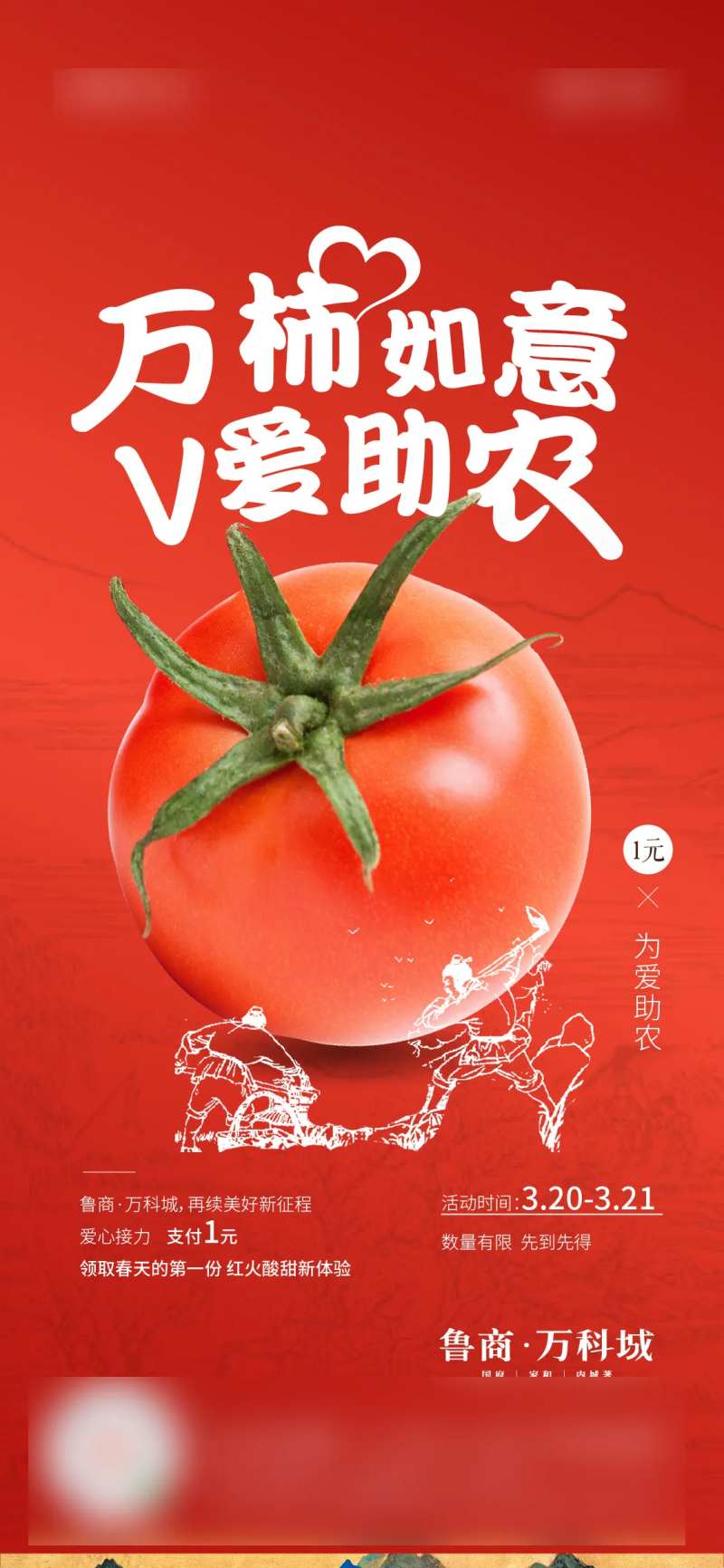 西红柿助农海报-采灵感-cailinggan.com