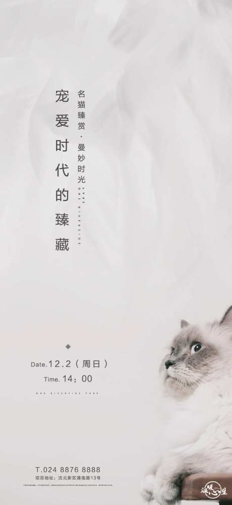 猫咪萌宠活动海报-采灵感-https://www.cailinggan.com/